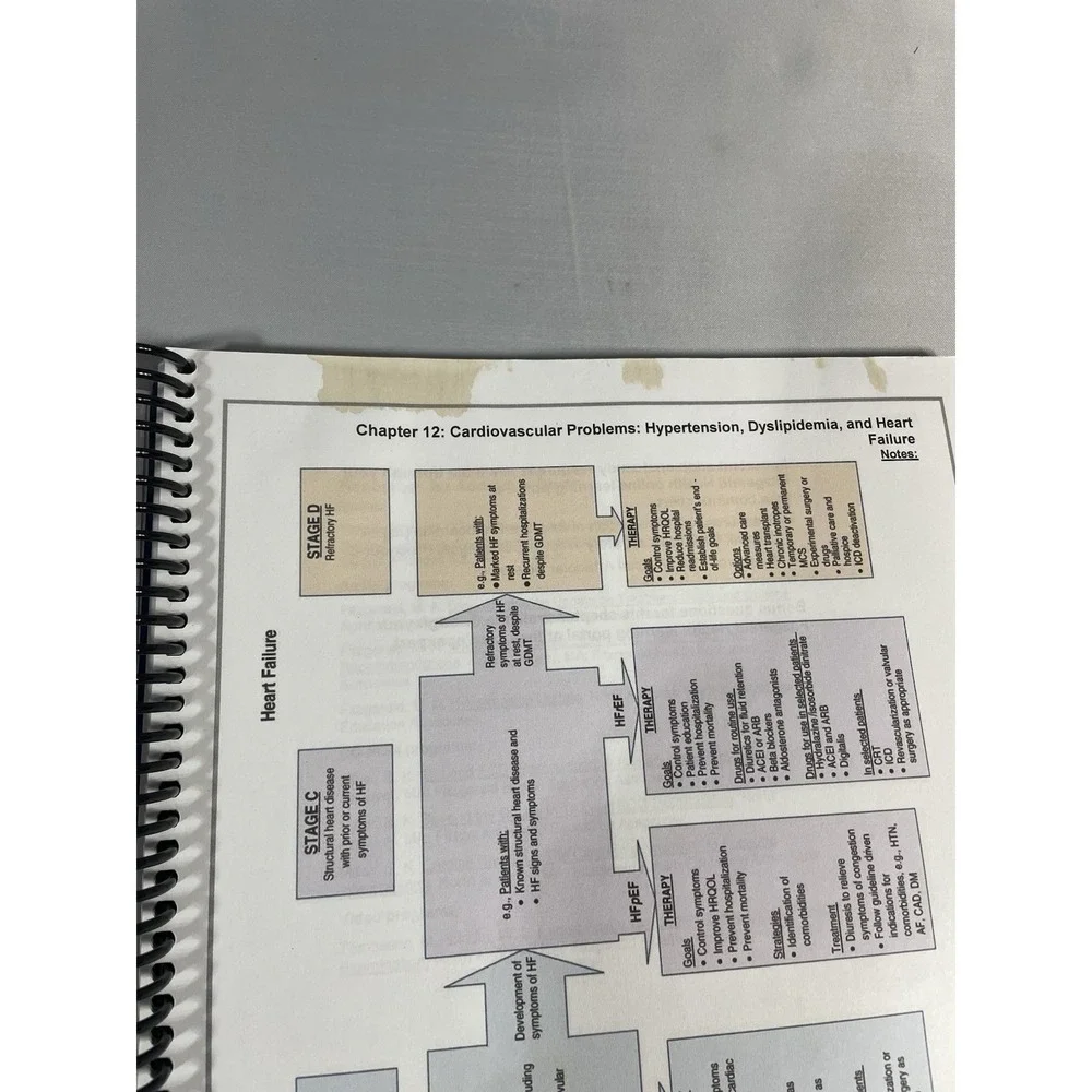 Fitzgerald Nurse Practitioner Certification Exam Review Advanced Practice Update